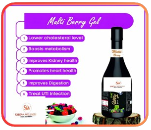 Multi Berry Gell